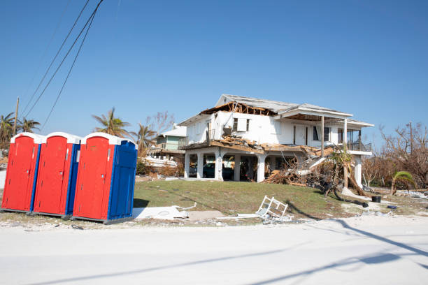 How Our Tree Care Process Works  in  White Bear Lake, MN